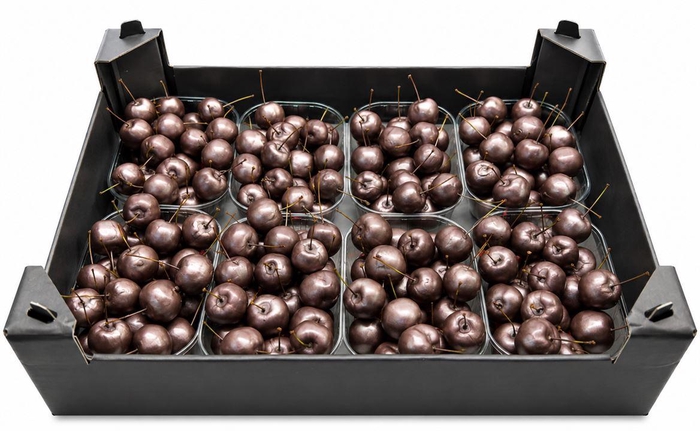 <h4>Waxmalus Taupe</h4>