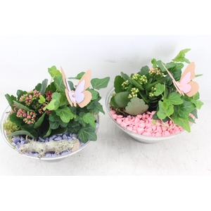 arr2 PL - Glas ribbel schaal x3 - roze/lila