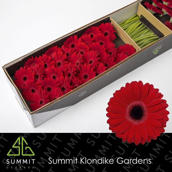 <h4>Ge Mi Black Tie Box</h4>