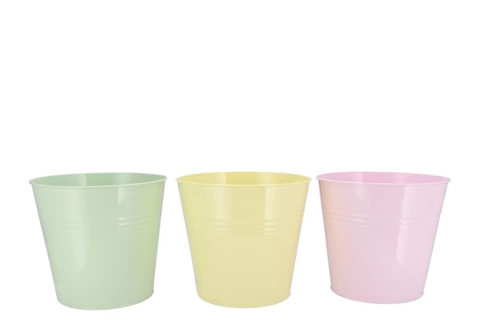 <h4>Zinc Dreamy Pastel Mix Bucket Basic Ass 19x18x15cm</h4>