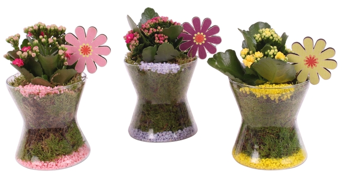 <h4>Opm Summer Arr. Indoor Glass Hourglass</h4>