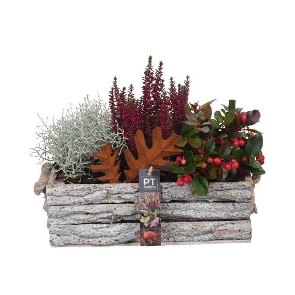<h4>PTHO4205 Arrangement Herfst Outdoor in houten bak</h4>