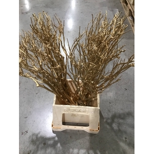 Seringen tak L60 Metalic ANTIEK GOUD pb