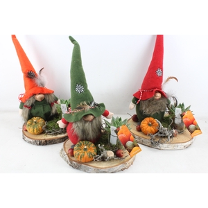 arr2 MB - Gnome hout schijf XL ech.