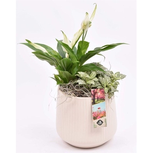 Keramiek vert.lines creme mat 14cm