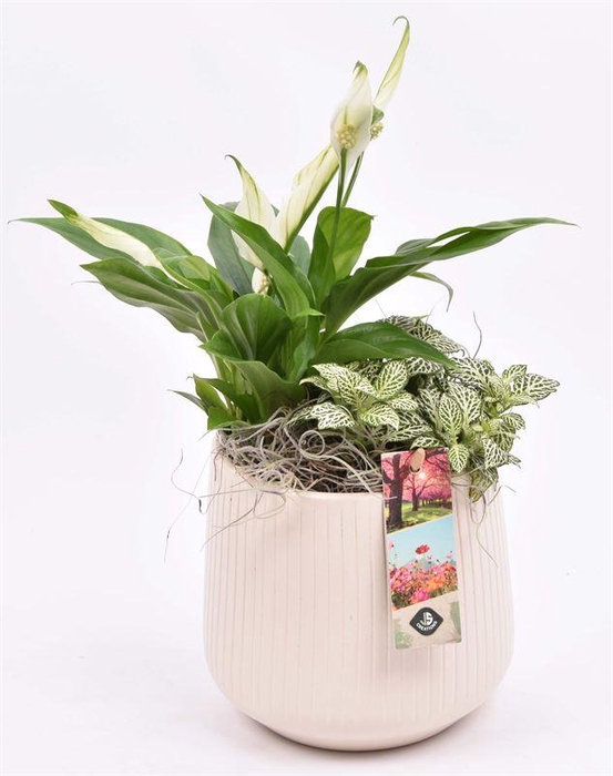 <h4>Keramiek vert.lines creme mat 14cm</h4>