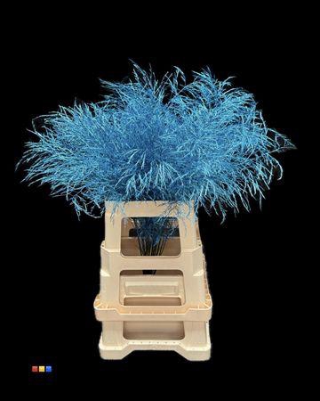 Treefern Metallic Blue