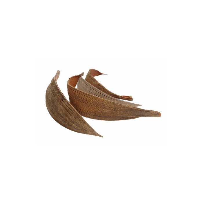 <h4>Coco Medium 10pcs L27</h4>