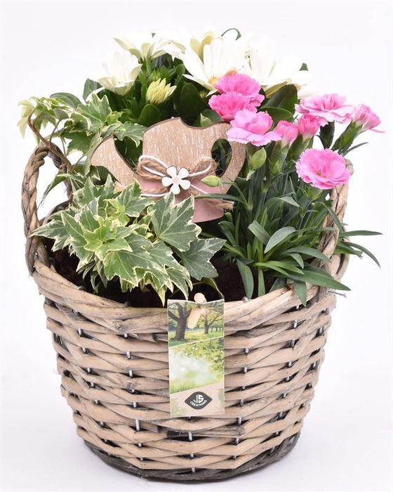 <h4>Wilg mand grijs met oor 18cm</h4>