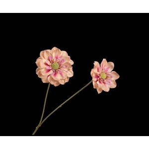 DAHLIA TAK MAUVE 76 cm