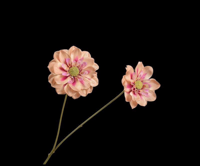 <h4>DAHLIA TAK MAUVE 76 cm</h4>