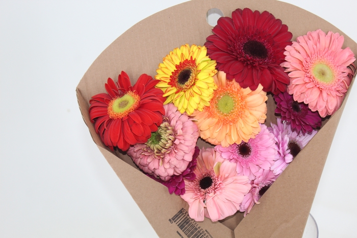 <h4>GERBERA VARIADA >10 CM DIAM <050 CM VARIADO</h4>