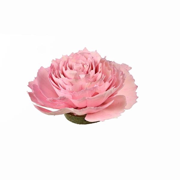 <h4>Sola Cabbage Rose 12 Cm Pink River Pink</h4>