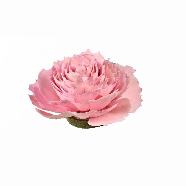 <h4>Sola Cabbage Rose 12 Cm Pink River Pink</h4>