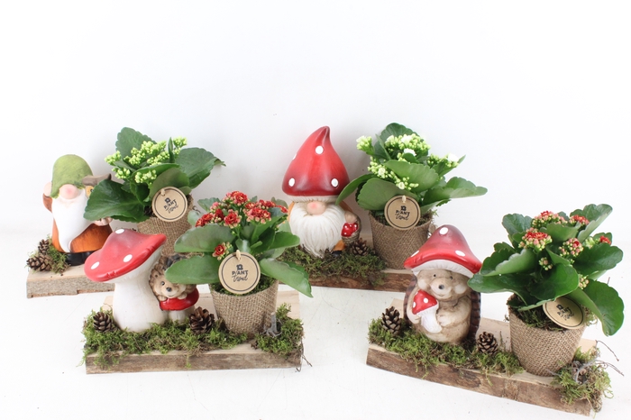 <h4>arr2 PL - Ker. herfst deco op plank mix</h4>