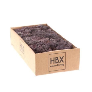 Moss Reindeer Moss 500gr Lavender