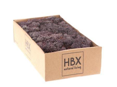 <h4>Moss Reindeer Moss 500gr Lavender</h4>