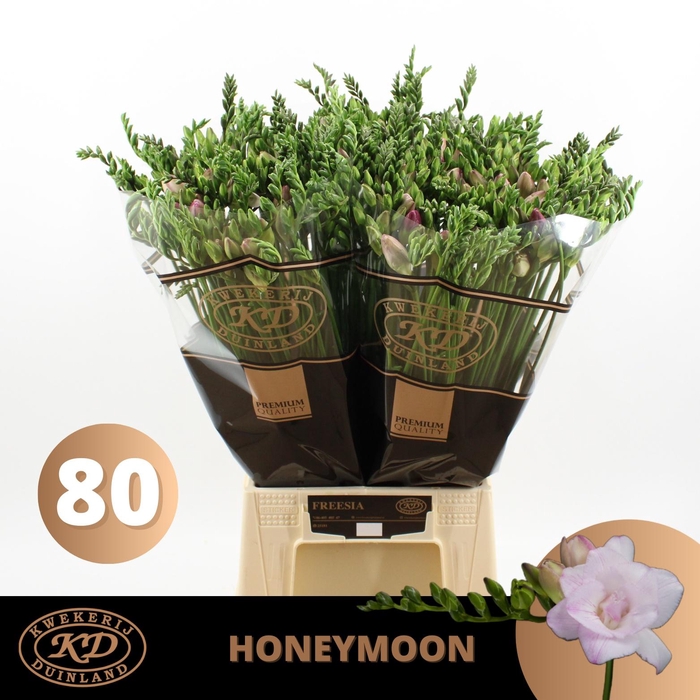 <h4>FR DU HONEYMOON</h4>