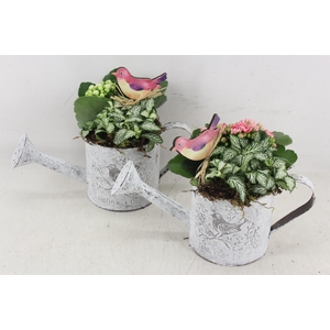 arr2 TD - Zink gieter - roze/wit