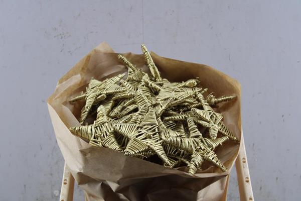 <h4>Droog Lata Star Goud X25</h4>