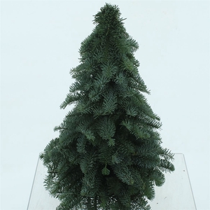 Nobilis Kerstboom 50cm Extra