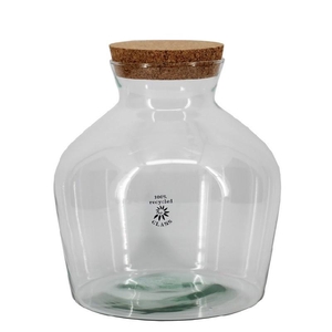 Glas Terrarium Eco Dean d09/24*25cm