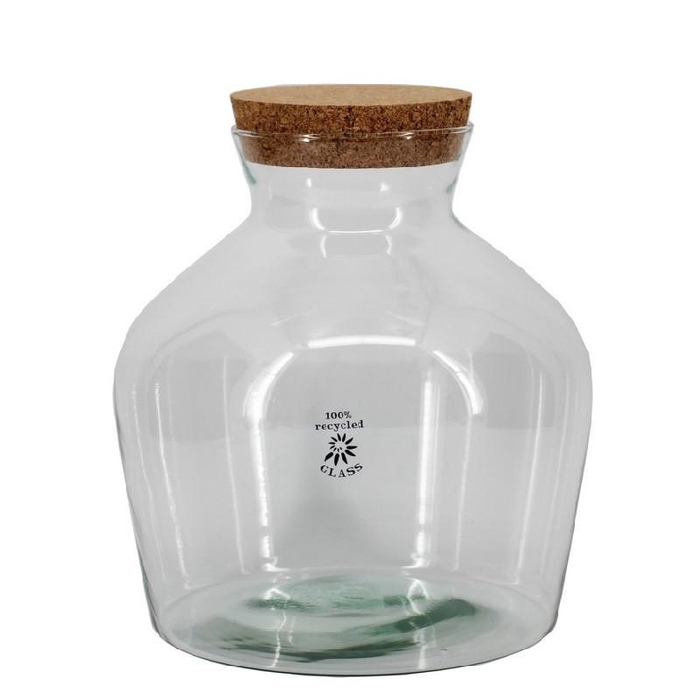 <h4>Glass Terrarium Eco Dean d09/24*25cm</h4>
