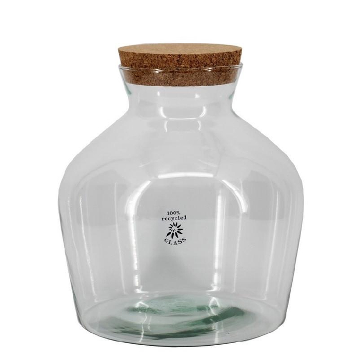 <h4>Glass Terrarium Eco Dean d09/24*25cm</h4>