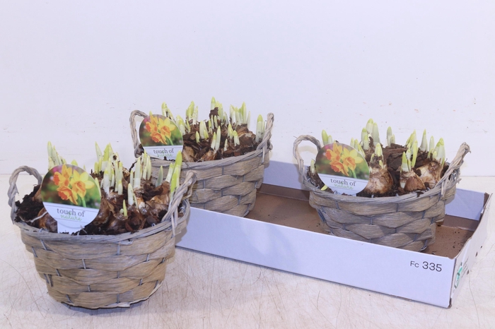 <h4>ARR N TETE A TETE</h4>