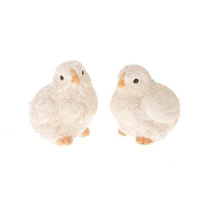 Bird Elgin 2 Ass. L4.5W5.5H6.5