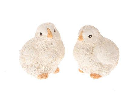 Bird Elgin 2 Ass. L4.5W5.5H6.5