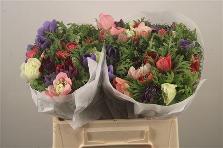 <h4>Anemone Levante Mixed In Bunch</h4>