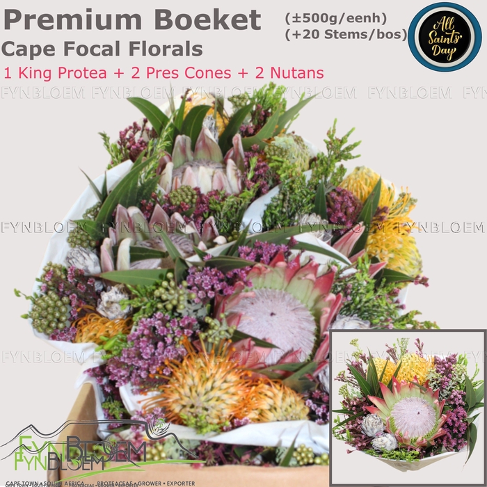<h4>PROTEA PER BOS</h4>