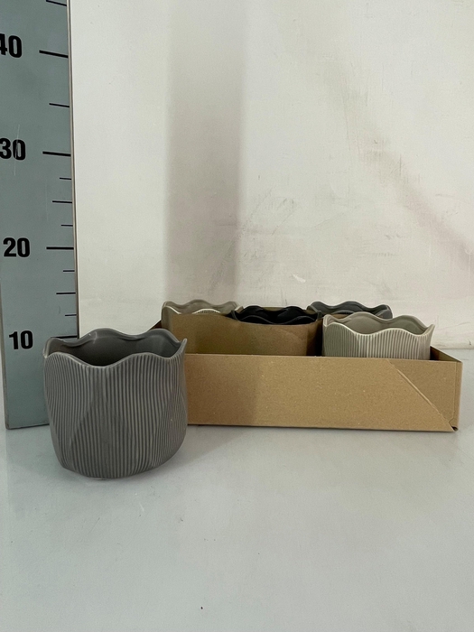 <h4>HUIS EN TUINDECO H%</h4>