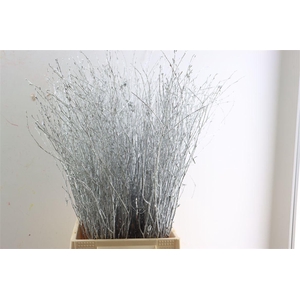 Berk 70cm Zilver Pbs