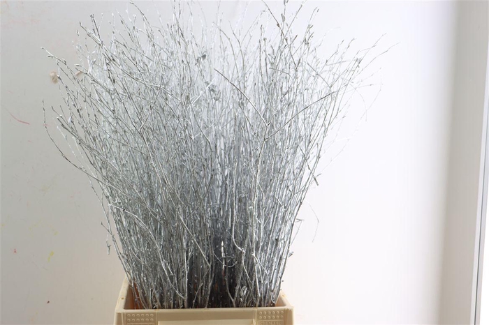 Berk 70cm Zilver Pbs