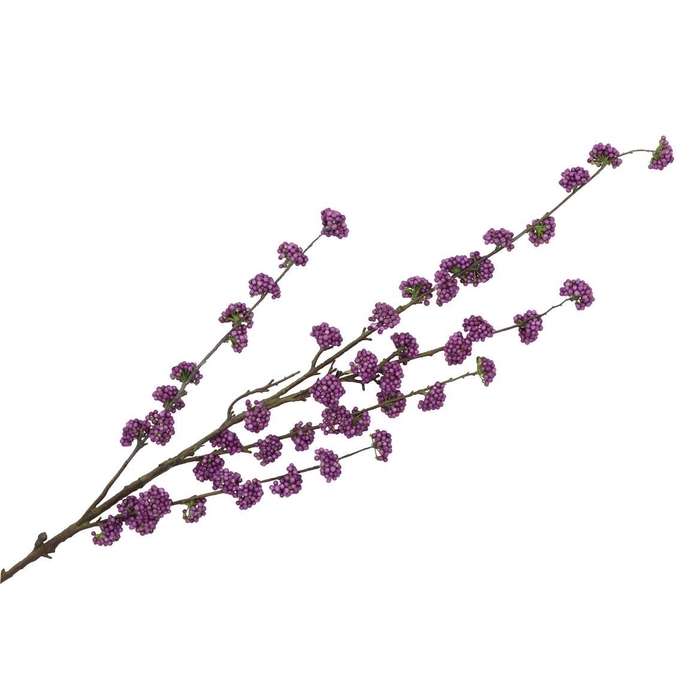 <h4>Silk Berry Callicarpa Dark Purple 130cm</h4>