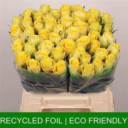 <h4>R Gr Good Times</h4>