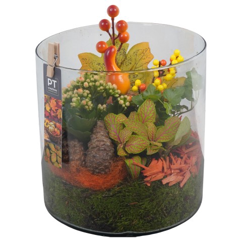 <h4>PTHG3374 Arrangementen kamerplanten</h4>