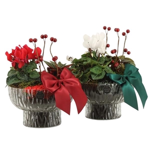 61802: X-mas arrangement