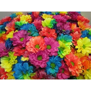 Chr T Kennedy Rainbow