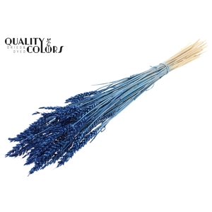 Triticum per bunch Intense Blue