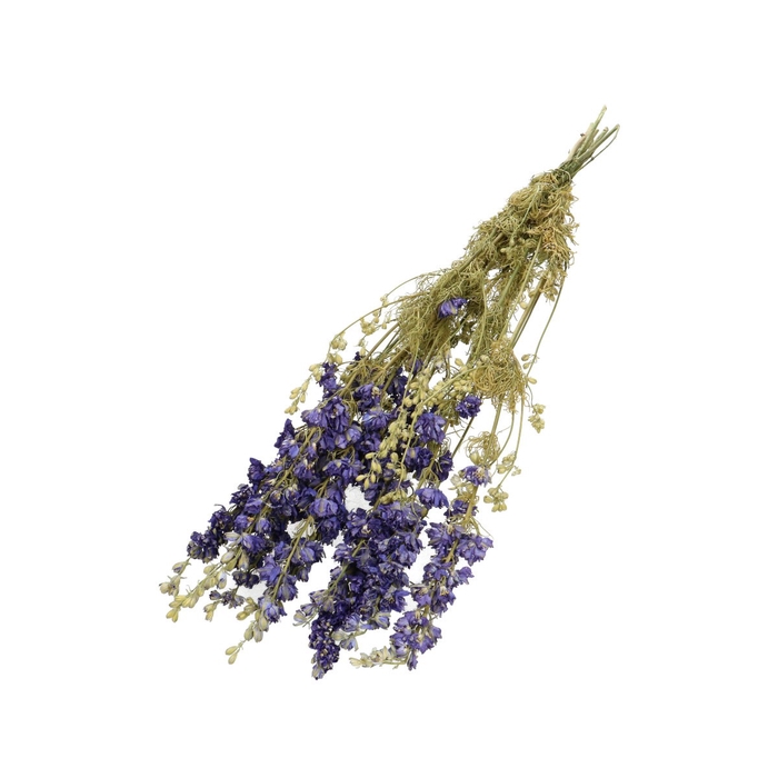 <h4>Dried flowers Delphinium 60cm</h4>