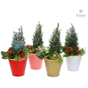 Pot zink wit met verlichting Kerst met arrangement