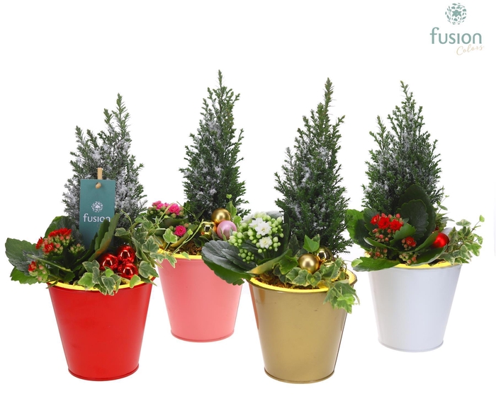 <h4>Pot zink wit met verlichting Kerst met arrangement</h4>