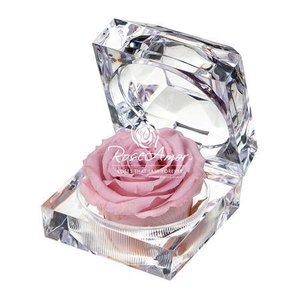 Display Jewel Pin04