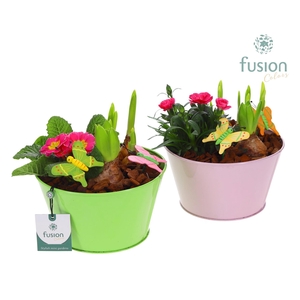 Zink schaal voorjaar div.kleuren met arrangement