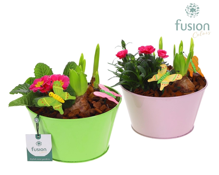 <h4>Zink schaal voorjaar div.kleuren met arrangement</h4>