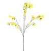 Wild clematis branche yellow 123cm