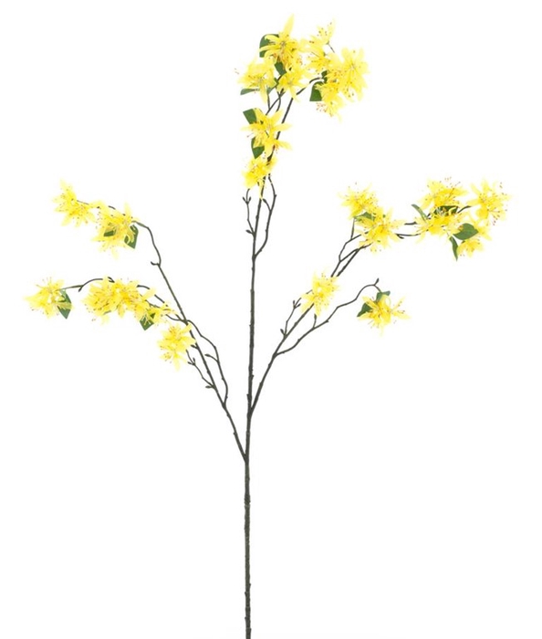 <h4>Wild clematis branche yellow 123cm</h4>